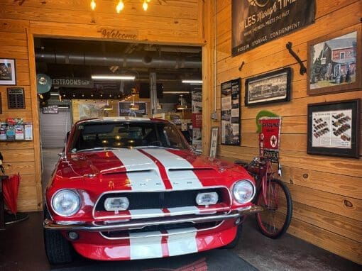 1968 Shelby GT350