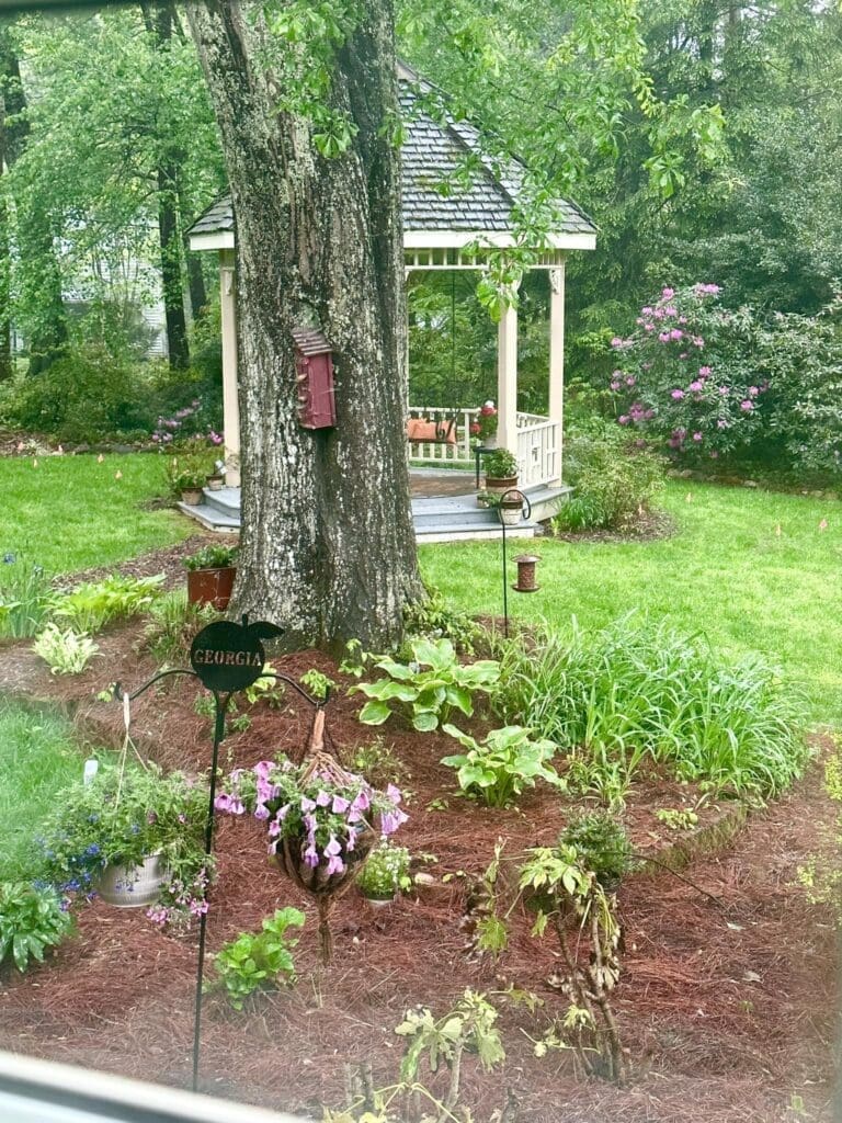 things to do in clarkesville