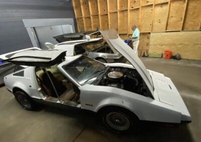 Delorean and Bricklin